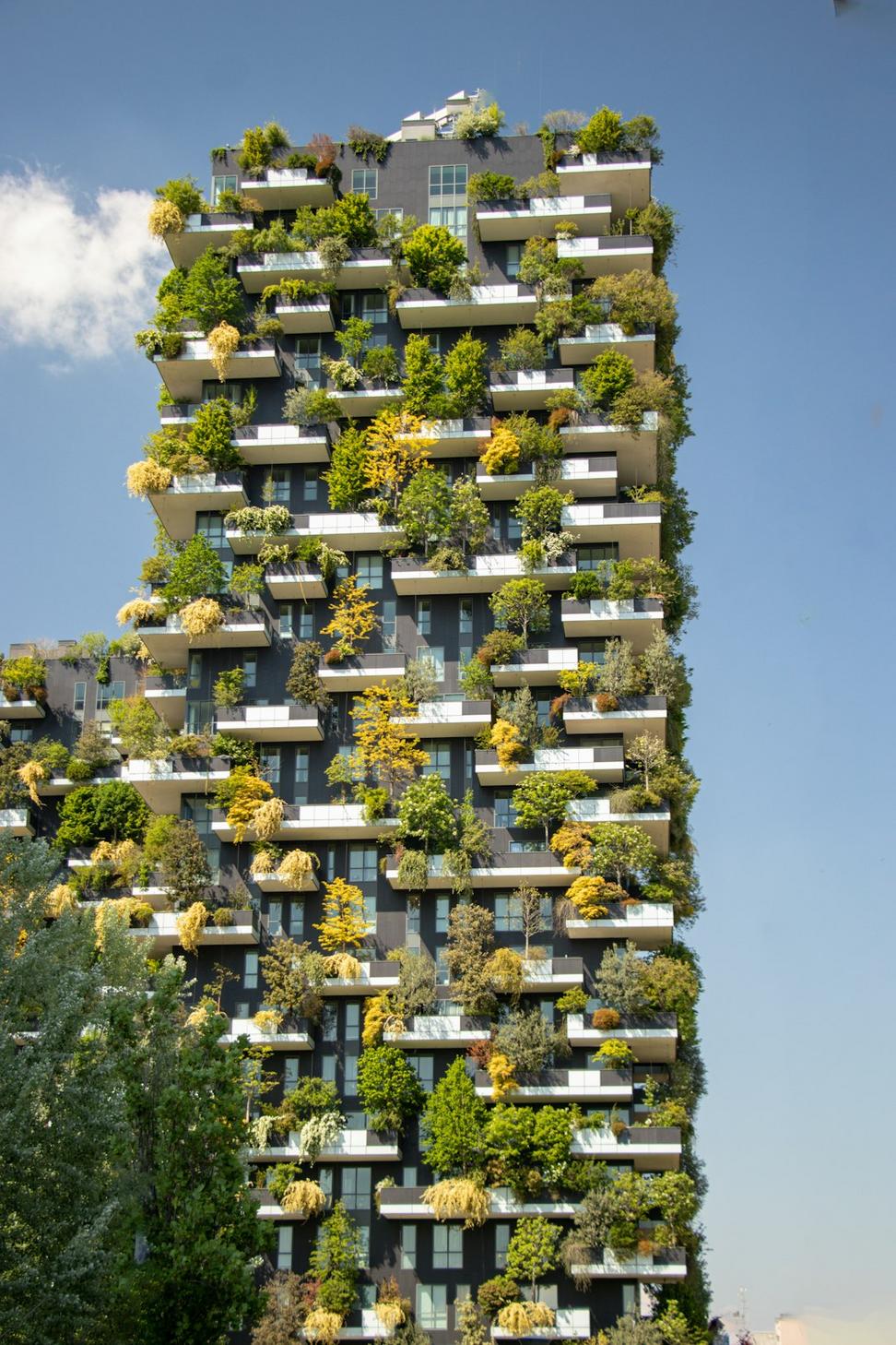 Sustainable architecture