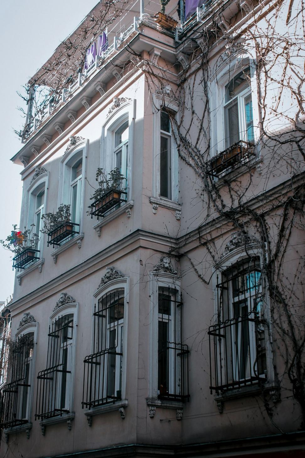 Cabbagetown Victorian Renovation